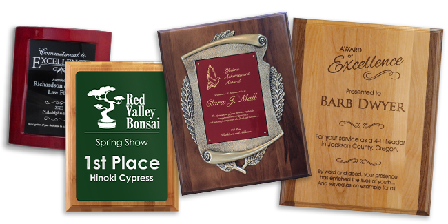A variety of award plaques to show how text can be used to present an award.