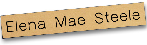 Style 5 nameplate
